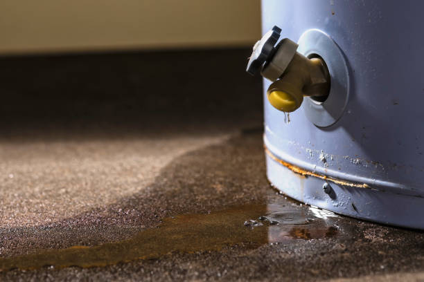 Best Sewage cleanup and water damage restoration  in Edmore, MI