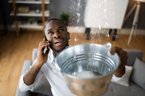 Best Flood damage cleanup  in Edmore, MI