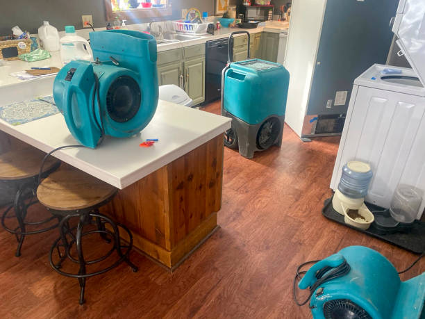 Best Ceiling water damage repair  in Edmore, MI