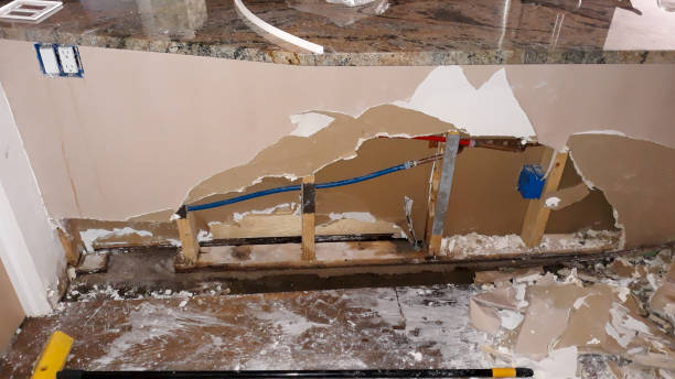 Best Fire Damage Restoration  in Edmore, MI