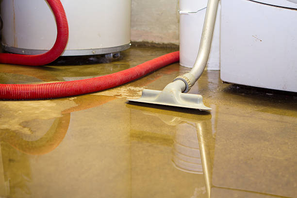 Best Carpet water damage restoration  in Edmore, MI