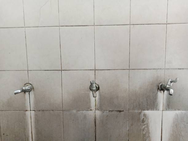 Best Water damage restoration near me  in Edmore, MI