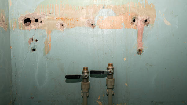 Best Water damage restoration insurance claims  in Edmore, MI