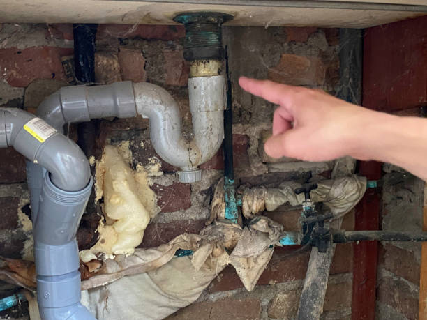 Water damage restoration experts in MI