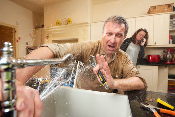 Best Carpet water damage restoration  in Edmore, MI